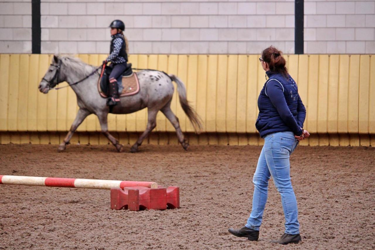 Horsetellerie Rheezerveen Hardenberg Ngoại thất bức ảnh