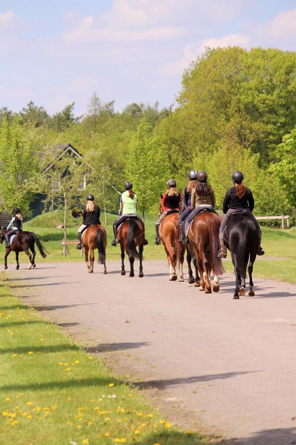 Horsetellerie Rheezerveen Hardenberg Ngoại thất bức ảnh