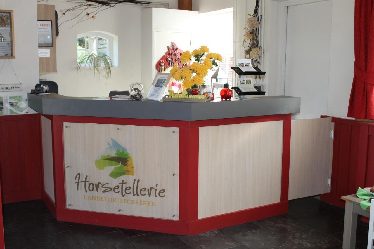 Horsetellerie Rheezerveen Hardenberg Ngoại thất bức ảnh