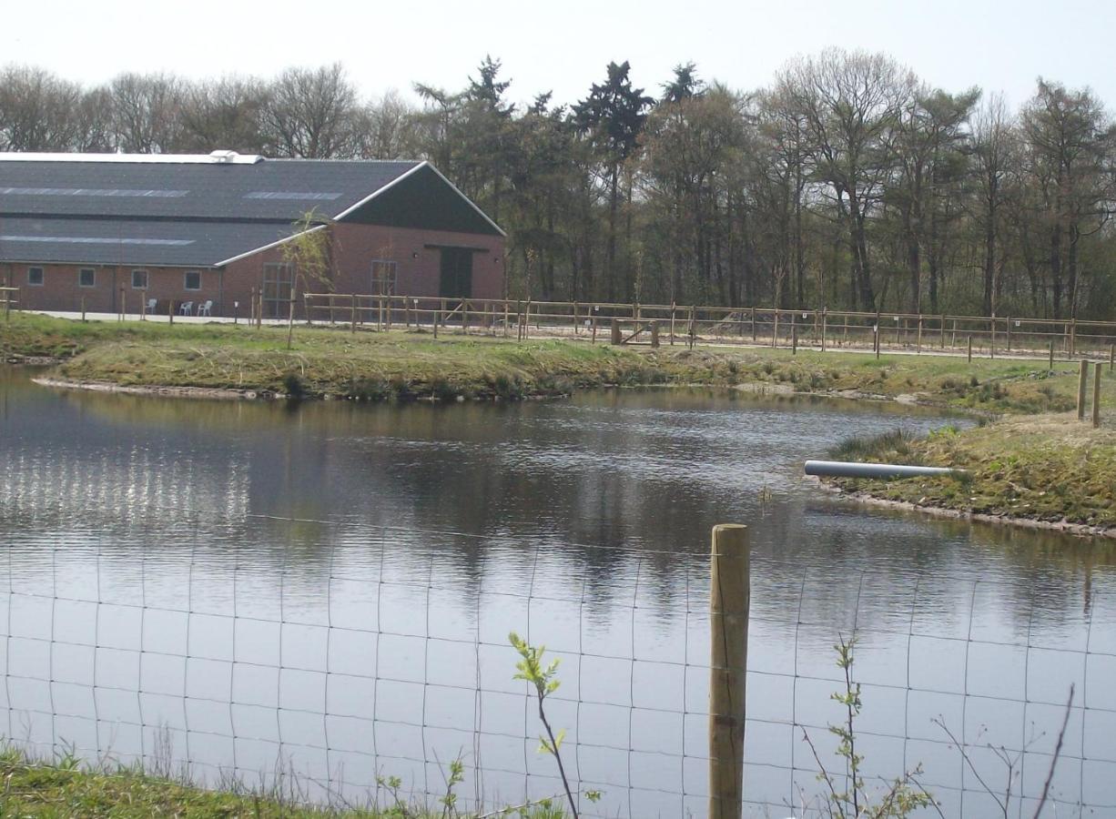 Horsetellerie Rheezerveen Hardenberg Ngoại thất bức ảnh