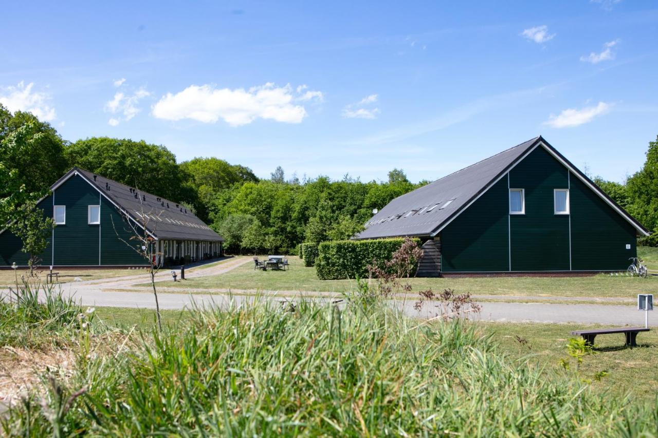 Horsetellerie Rheezerveen Hardenberg Ngoại thất bức ảnh