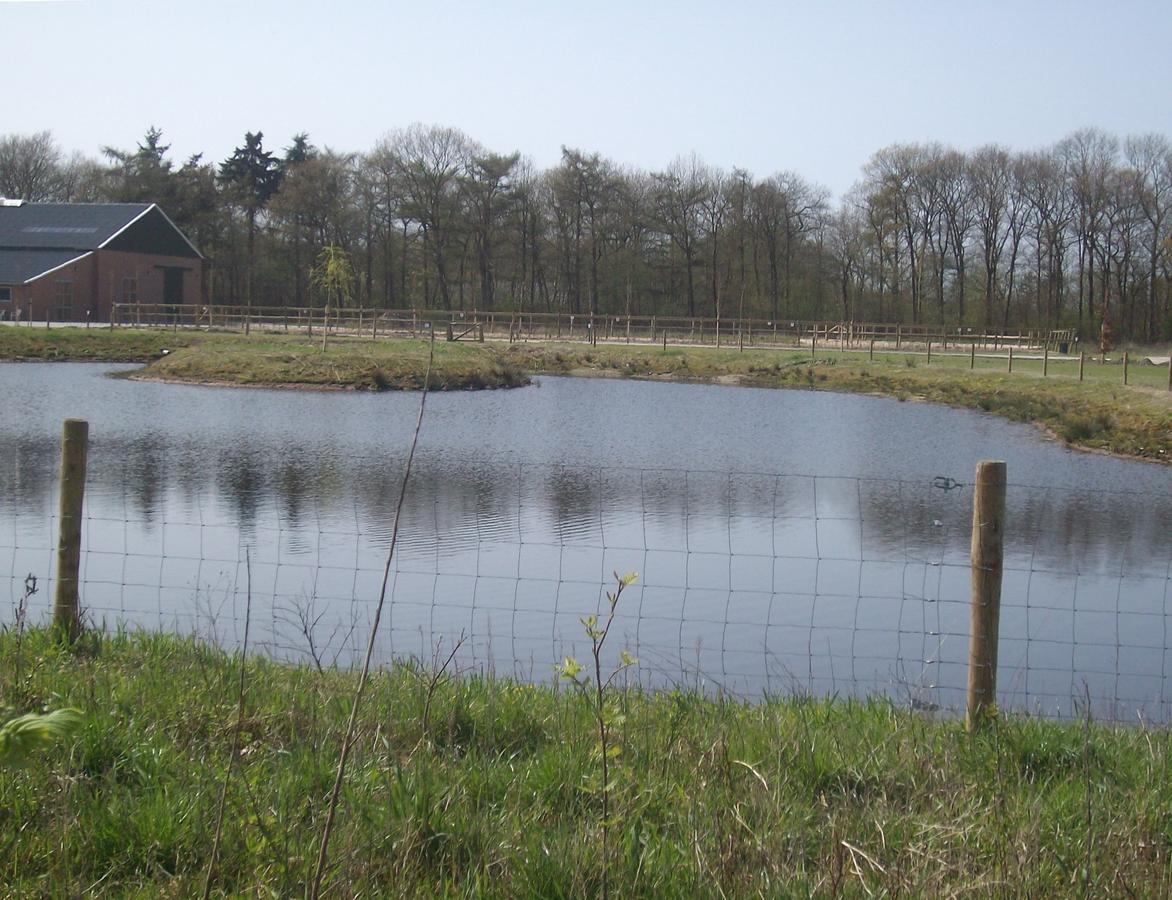 Horsetellerie Rheezerveen Hardenberg Ngoại thất bức ảnh